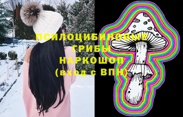 МДМА Богданович