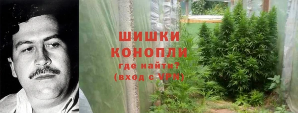 mdma Богородицк
